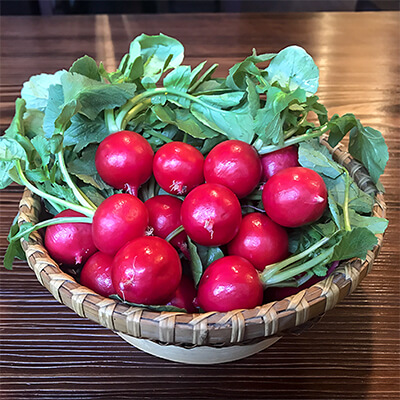 うなぎの原田 新鮮野菜